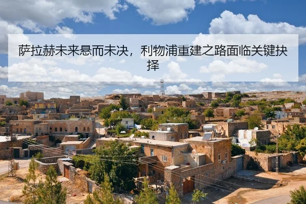 sa-la-he-wei-lai-xuan-er-wei-jue-li-wu-pu-chong-jian-zhi-lu-mian-lin-guan-jian-jue-ze-2-858.jpg