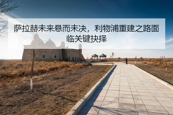 sa-la-he-wei-lai-xuan-er-wei-jue-li-wu-pu-chong-jian-zhi-lu-mian-lin-guan-jian-jue-ze-3-549.jpg