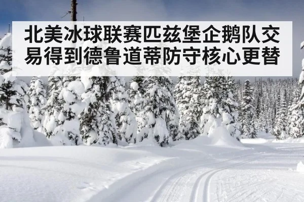 北美冰球联赛匹兹堡企鹅队交易得到德鲁道蒂防守核心更替
